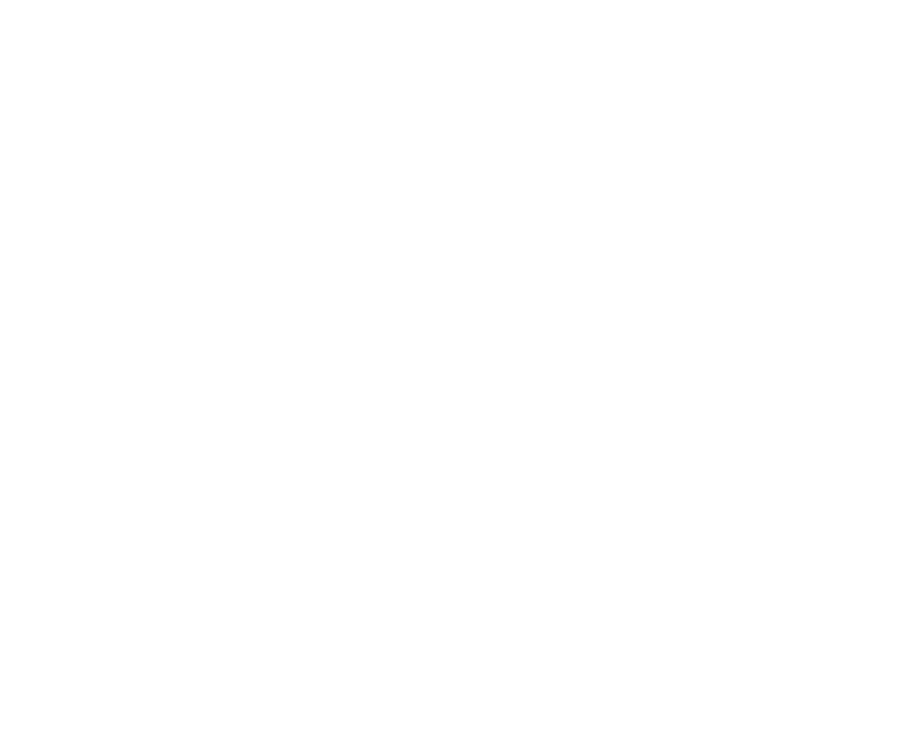 Symbol für einen Skifahrer in der Skiregion Hochkönig